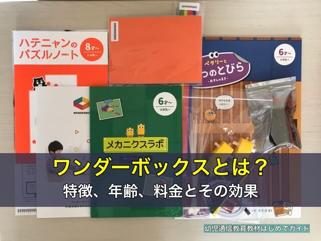 ワンダーボックスとは?特徴、年齢、料金とその効果