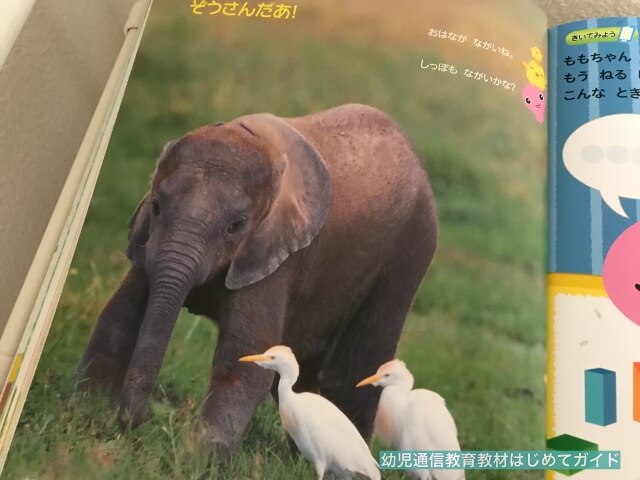 通信教育「幼児ポピー・ももちゃん」動物・生き物