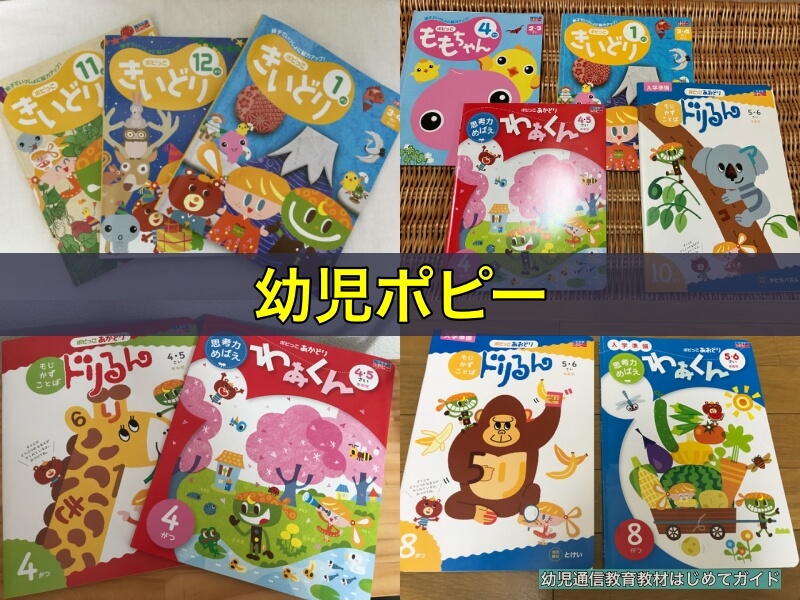 幼児ポピー