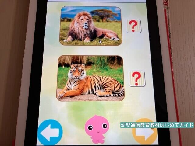 通信教育「幼児ポピー」のタブレット教材・デジタルコンテンツ「ももちゃんデジタルブック動物」
