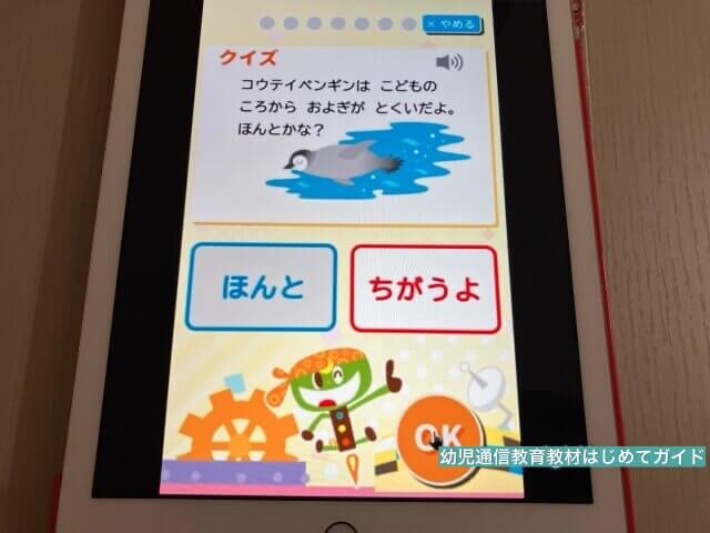 通信教育「幼児ポピー」のタブレット教材・デジタルコンテンツ「Webクイズ」