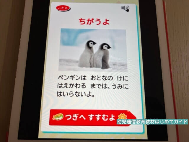 通信教育「幼児ポピー」のタブレット教材・デジタルコンテンツ「Webクイズ」答え
