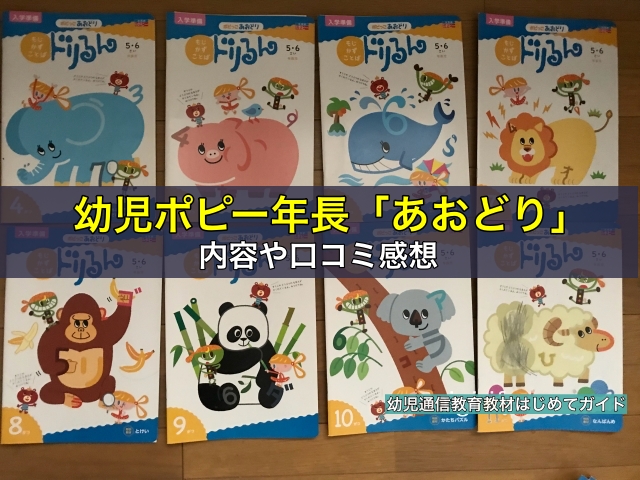 幼児ポピー年長「あおどり」の内容や口コミ感想