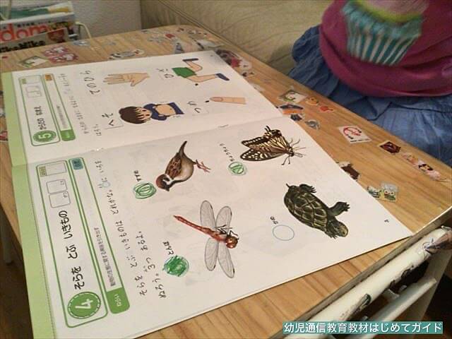 通信教育「Z会幼児コース」無料お試し教材を学習(鉛筆・生き物)