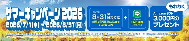 天神サマーキャンペーン2026：資料請求後のLINE登録＆無料体験後の新規注文でAmazonギフト3,000円分プレゼント